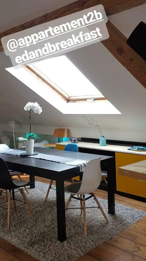 The White Loft Appartement Mulhouse Buitenkant foto